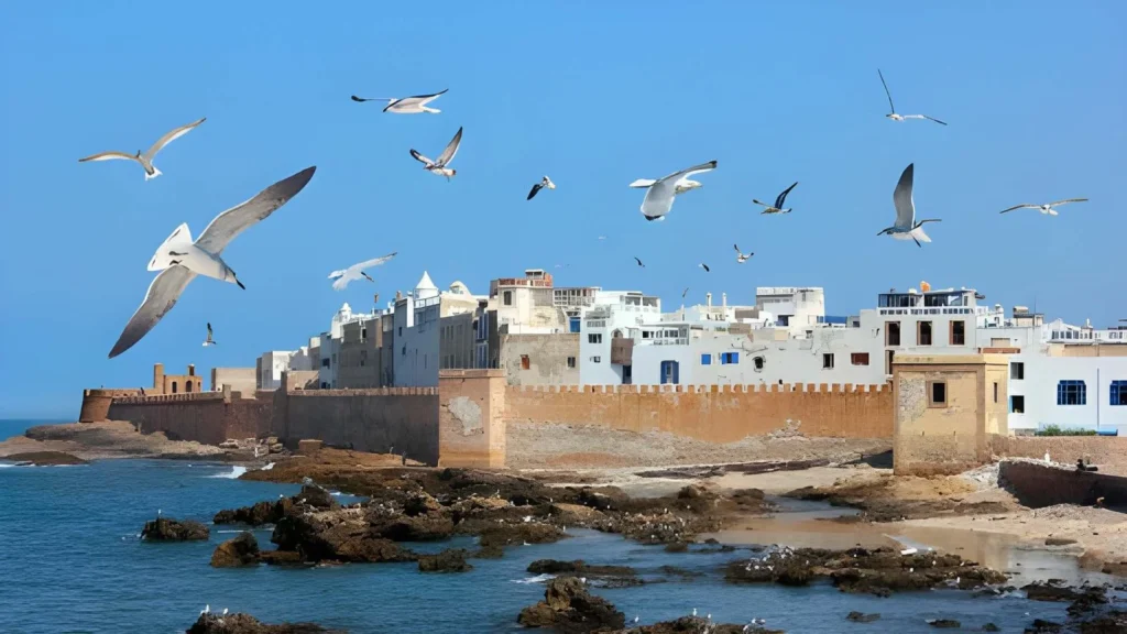 Essaouira Day Trip from Marrakech