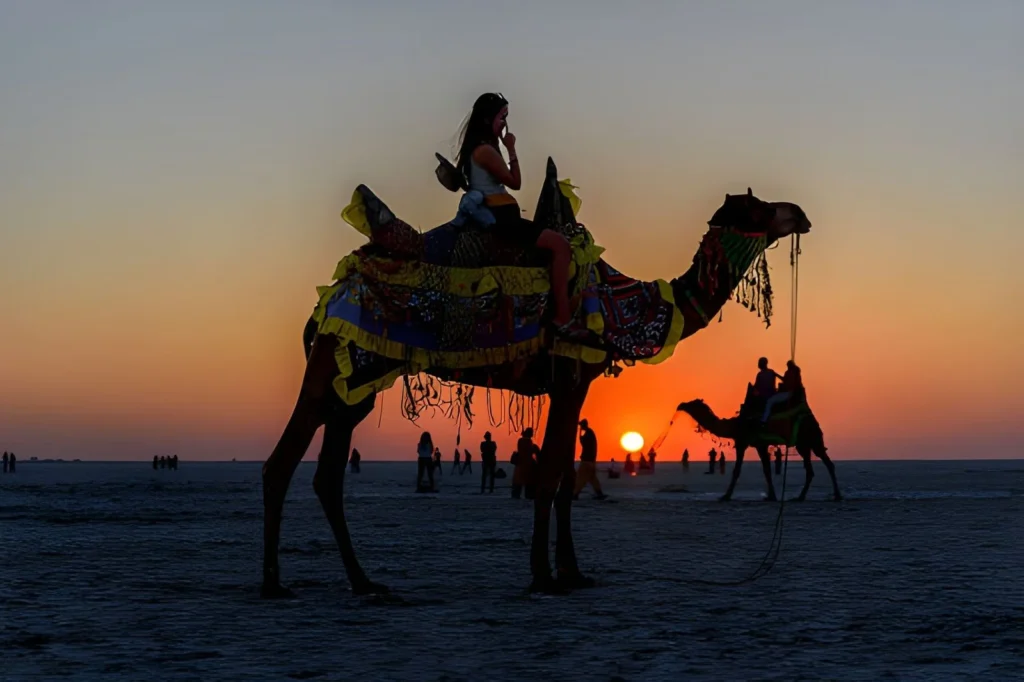 Marrakech camel tour at sunset