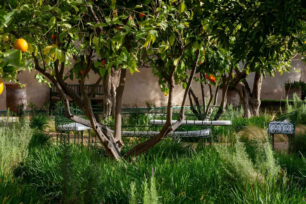 Le Jardin Secret Marrakech rooftop